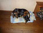     
: 02 getImage1.jpeg
: 5
:	64.3 
ID:	6909945