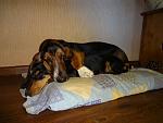     
: 03 getImage4.jpeg
: 7
:	59.2 
ID:	6909946