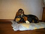     
: 04getImage.jpeg
: 4
:	58.2 
ID:	6909947