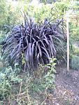     
: Фото0700.jpg
: 7
:	168.1 
ID:	6916040