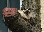     
: DSC00983.jpg
: 40
:	132.5 
ID:	69236