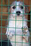     
: DSC_0010.jpg
: 23
:	64.7 
ID:	6932716