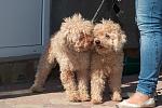     
: DSC_0113.jpg
: 52
:	75.7 
ID:	6932741