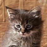     
: DSC_0133.jpg
: 4
:	57.8 
ID:	6933096