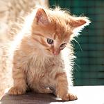     
: DSC_0142.jpg
: 4
:	41.7 
ID:	6933100