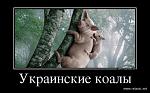     
: h73bN8qNVBQ.jpg
: 22
:	54.5 
ID:	6933209