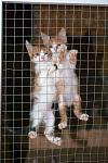     
: DSC_0028.jpg
: 10
:	75.2 
ID:	6933229