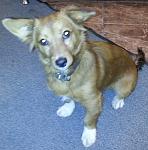     
: 20130928_203413.jpg
: 26
:	131.9 
ID:	6933700