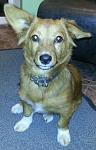     
: 20130928_2033461.jpg
: 19
:	86.6 
ID:	6933701