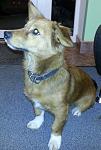     
: 20130928_203251.jpg
: 26
:	91.9 
ID:	6933702