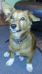     
: 20130928_203353.jpg
: 16
:	105.6 
ID:	6933704