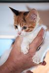     
: DSC_0078_1.jpg
: 7
:	41.0 
ID:	6935378