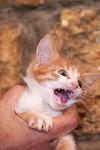     
: DSC_0042.jpg
: 6
:	48.3 
ID:	6935381
