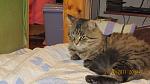     
: IMG_0075.jpg
: 19
:	111.1 
ID:	6938651