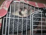     
: IMG_9142.jpg
: 6
:	63.9 
ID:	6938978