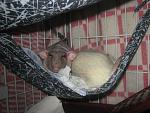     
: IMG_9143.jpg
: 7
:	53.1 
ID:	6938980