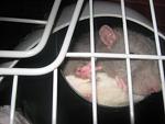     
: IMG_9127.jpg
: 10
:	31.0 
ID:	6939063
