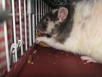     
: IMG_9137.jpg
: 12
:	36.1 
ID:	6939085