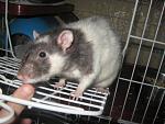     
: IMG_9131.jpg
: 3
:	50.0 
ID:	6939132