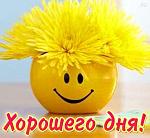     
: QS6pZV-OTKE.jpg
: 3
:	49.7 
ID:	6941559