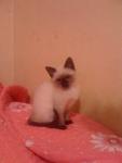     
: attachment.php.jpg
: 8
:	28.6 
ID:	6947887