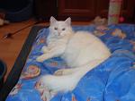     
: DSC00904.jpg
: 32
:	90.0 
ID:	694867