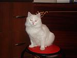     
: DSC00957.jpg
: 30
:	85.1 
ID:	694869