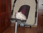     
: DSC00965.jpg
: 33
:	101.9 
ID:	694872