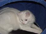     
: DSC00969.jpg
: 16
:	86.3 
ID:	694893