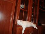     
: DSC00973.jpg
: 15
:	100.7 
ID:	694896