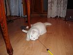     
: DSC00975.jpg
: 15
:	121.0 
ID:	694902