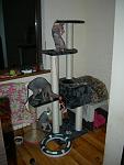    
: DSCN4820.JPG
: 5
:	98.0 
ID:	6949152