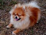     
: DSC_0840.jpg
: 7
:	216.3 
ID:	6958361