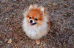     
: DSC_0835.jpg
: 10
:	191.3 
ID:	6958362