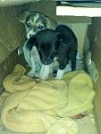     
: IMG_20131004_081930.jpg
: 4
:	85.6 
ID:	6964377