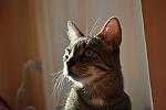     
: DSC_0510.jpg
: 7
:	85.6 
ID:	6968950