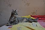    
: DSC_0406.jpg
: 9
:	88.1 
ID:	6968951