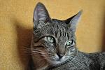     
: DSC_0534.jpg
: 7
:	143.9 
ID:	6968952
