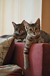     
: DSC_0300.jpg
: 6
:	59.7 
ID:	6968980