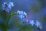     
: 93778188_4809770_A4.jpg
: 2
:	30.3 
ID:	6975355