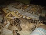     
: kWaYdHJ_jlk.jpg
: 5
:	176.9 
ID:	6976089