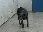     
: НП-06-10-2013.JPG
: 4
:	128.8 
ID:	6978832