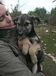     
: Бобочка-3.JPG
: 17
:	200.8 
ID:	6978867