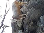     
: 20130306_181138.jpg
: 15
:	133.1 
ID:	6979201