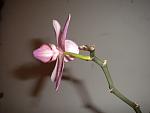     
: DSCN3612.jpg
: 33
:	59.7 
ID:	6985608