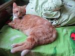     
: IMG_5034.jpg
: 24
:	169.8 
ID:	6994525