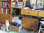     
: IMG_5038.jpg
: 19
:	148.9 
ID:	6994529