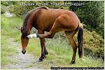     
: s3img_55546277_16319_1.jpg
: 86
:	81.0 
ID:	699724