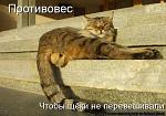     
: s3img_42196472_632_1.jpg
: 92
:	26.2 
ID:	699726