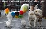     
: s3img_42196472_635_1.jpg
: 90
:	46.6 
ID:	699727
